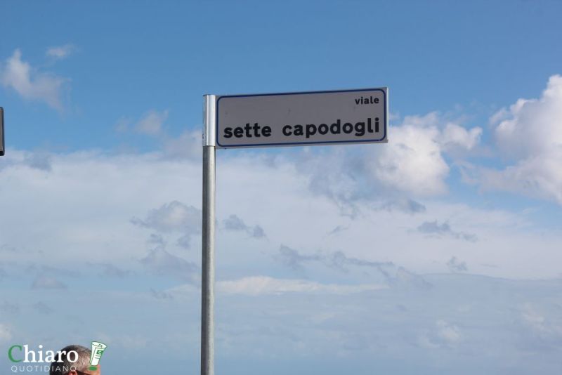 vialesettecapodogli-39