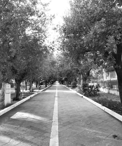Vasto - Viale Rimembranza