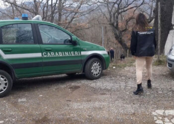 Cani legati alla catena e al buio, una persona sanzionata a Celenza sul Trigno