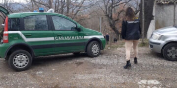 Cani legati alla catena e al buio, una persona sanzionata a Celenza sul Trigno