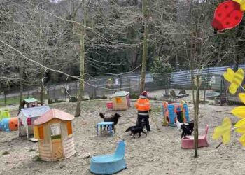 VIDEO | Il mondo a quattro zampe del canile di Lanciano