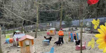 VIDEO | Il mondo a quattro zampe del canile di Lanciano