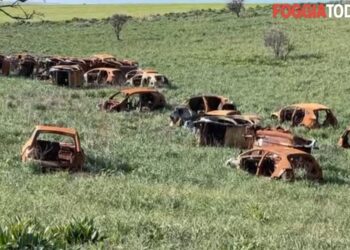 Nel Foggiano scoperto un cimitero di auto rubate in Abruzzo e Molise