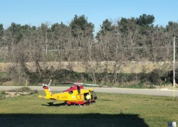 Cade durante la potatura di un albero nella zona industriale di San Salvo, grave pensionato