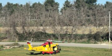 Cade durante la potatura di un albero nella zona industriale di San Salvo, grave pensionato