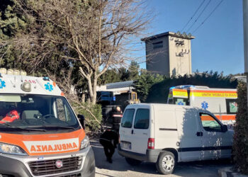 Cade durante la potatura di un albero nella zona industriale di San Salvo, grave pensionato