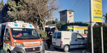 Cade durante la potatura di un albero nella zona industriale di San Salvo, grave pensionato