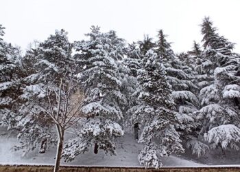 Neve nell’entroterra, oggi scuole chiuse a Castiglione e Roccaspinalveti