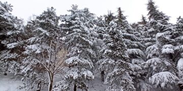 Neve nell’entroterra, oggi scuole chiuse a Castiglione e Roccaspinalveti