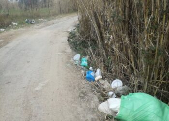 VIDEO | «La pista ciclabile abbandonata torni a essere una strada utile per gli agricoltori»