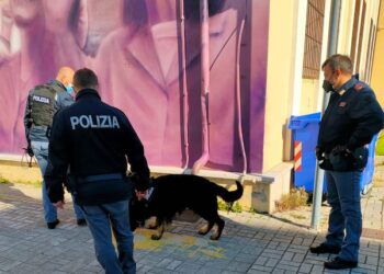Controlli nelle scuole, minore trovato in possesso di hashish e coltello a serramanico