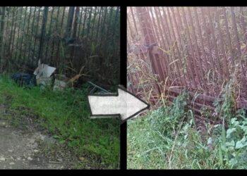 «La cooperazione è lo strumento più efficace per il bene comune»