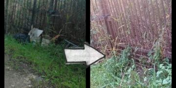 «La cooperazione è lo strumento più efficace per il bene comune»