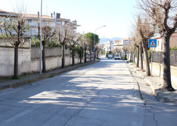 San Salvo, via di Palmoli si rifà il look: ok al taglio degli alberi, saranno sostituiti