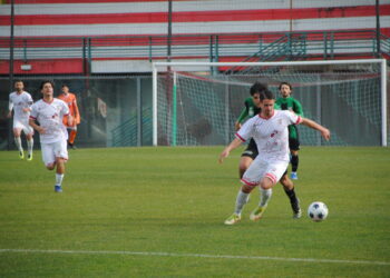 Vastese senza due colonne: nell’anticipo all’Aragona c’è il Tolentino