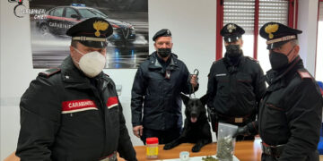 Hashish e marijuana in casa: padre e figlio in manette per spaccio di stupefacenti