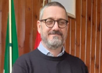 Barisano: «Devo salvaguardare gli alberi, ma anche l’incolumità delle persone»