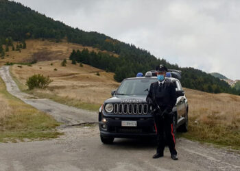Schiavi d’Abruzzo, denunciato 38enne per indebita percezione del reddito di cittadinanza