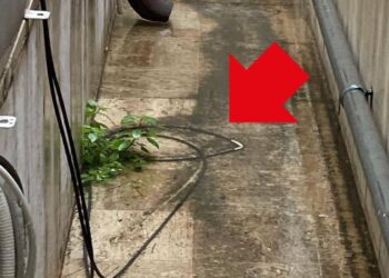 «Liste d’attesa e macchinari vecchi, situazione ben diversa da come la racconta la Asl»