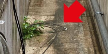 «Liste d’attesa e macchinari vecchi, situazione ben diversa da come la racconta la Asl»