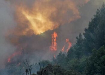 Protezione civile, a San Salvo il corso per lo spegnimento degli incendi boschivi