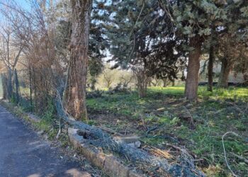 Fuori strada con l’auto, perde la vita un giovane lancianese