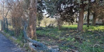 Fuori strada con l’auto, perde la vita un giovane lancianese