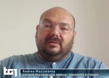 Associazione San Michele, il nuovo presidente è il professor Andrea Mazzatenta