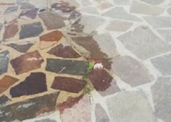 «Tubature colabrodo, acqua per strada e nessuno interviene»