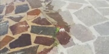 «Tubature colabrodo, acqua per strada e nessuno interviene»