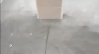 Infiltrazioni dal tetto: piove dentro il mercato coperto Santa Chiara