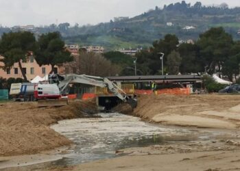 «Comune fermo al Medioevo: a Fosso Marino distrutta la cannuccia di palude, venduta a caro prezzo»
