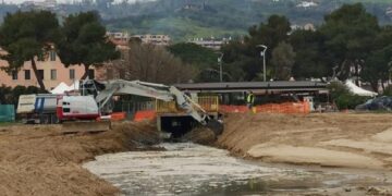 «Comune fermo al Medioevo: a Fosso Marino distrutta la cannuccia di palude, venduta a caro prezzo»