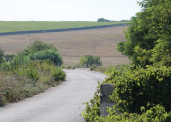 Si sblocca il completamento della Provinciale tra Villalfonsina e la ss16