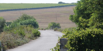 Si sblocca il completamento della Provinciale tra Villalfonsina e la ss16