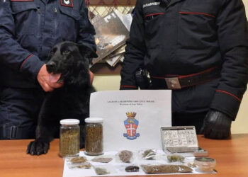 Marijuana e hashish in casa, 24enne di San Salvo denunciato dai carabinieri