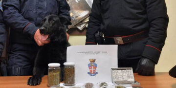 Marijuana e hashish in casa, 24enne di San Salvo denunciato dai carabinieri