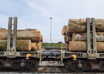 La Sangritana annuncia il nuovo servizio di trasporto ferroviario di legname dalla Svizzera verso Abruzzo e Puglia