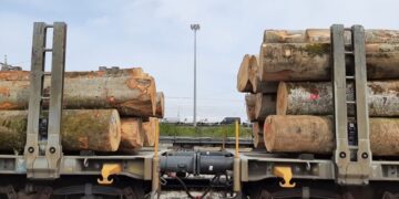 La Sangritana annuncia il nuovo servizio di trasporto ferroviario di legname dalla Svizzera verso Abruzzo e Puglia