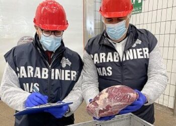 Filiera degli arrosticini sotto controllo dei Nas: sequestrati 150 ovini macellati clandestinamente
