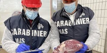 Filiera degli arrosticini sotto controllo dei Nas: sequestrati 150 ovini macellati clandestinamente