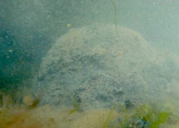 Un altro presunto ordigno bellico avvistato in mare a Casarza, nuova ordinanza di interdizione