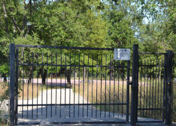 Riecco il parco avventura di Celenza sul Trigno, il Comune prova ad affidarne la gestione