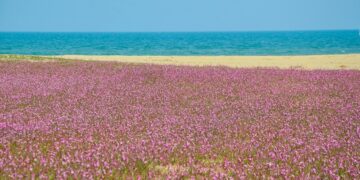 Le tonalità della primavera per augurarvi una Pasqua di serenità, speranza e affetto
