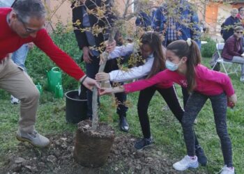 Ottanta alberi piantati in due anni, l’associazione 1000 alberi per Lanciano rinnova il patto di collaborazione con il Comune
