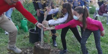 Ottanta alberi piantati in due anni, l’associazione 1000 alberi per Lanciano rinnova il patto di collaborazione con il Comune
