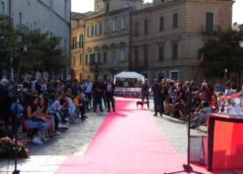 «I nostri amici a quattro zampe aspettano solo una famiglia che li ami. Quando si adotta un cane, è per la vita»