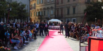 «I nostri amici a quattro zampe aspettano solo una famiglia che li ami. Quando si adotta un cane, è per la vita»