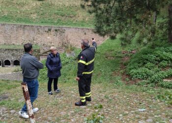 Maltempo: cade un albero nei pressi della Fonte del Borgo