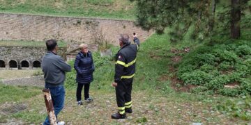 Maltempo: cade un albero nei pressi della Fonte del Borgo